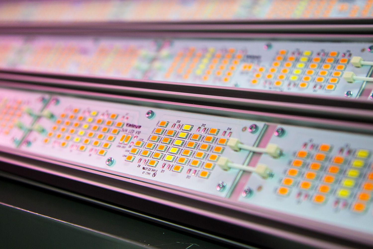 Valoya Led-kasvivalojen valmistusta